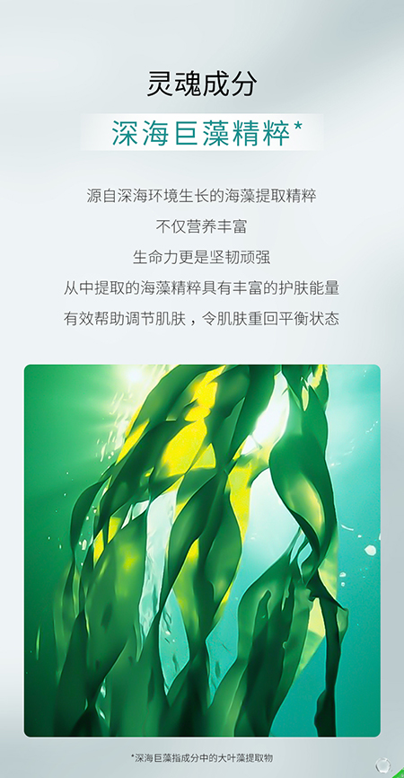 海藻洁面_06.jpg